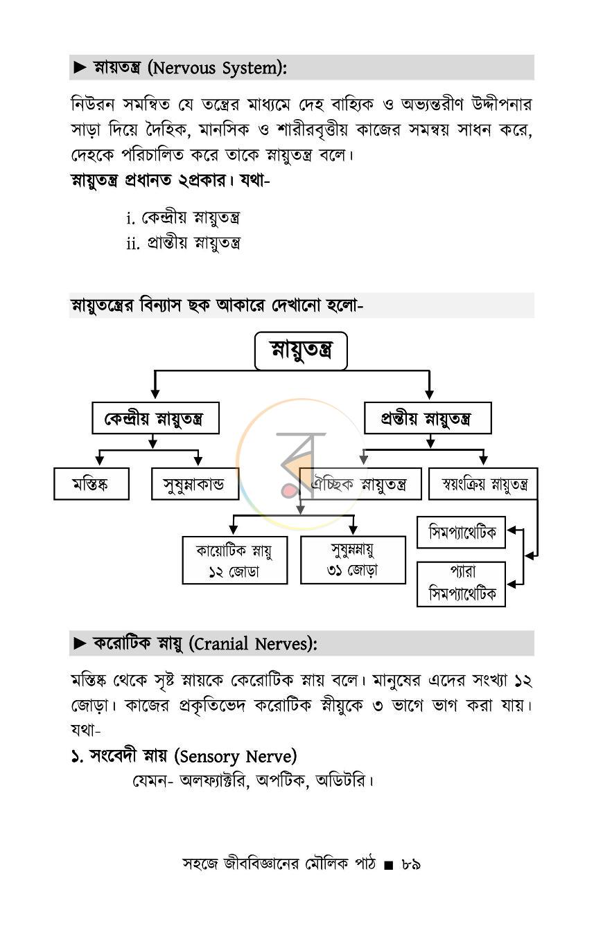 পাতা 12