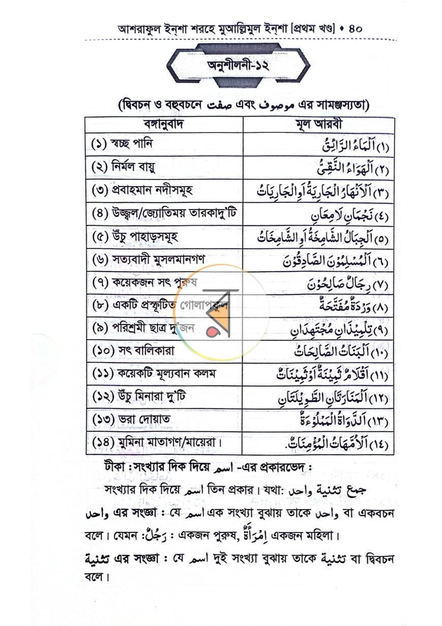 পাতা 13