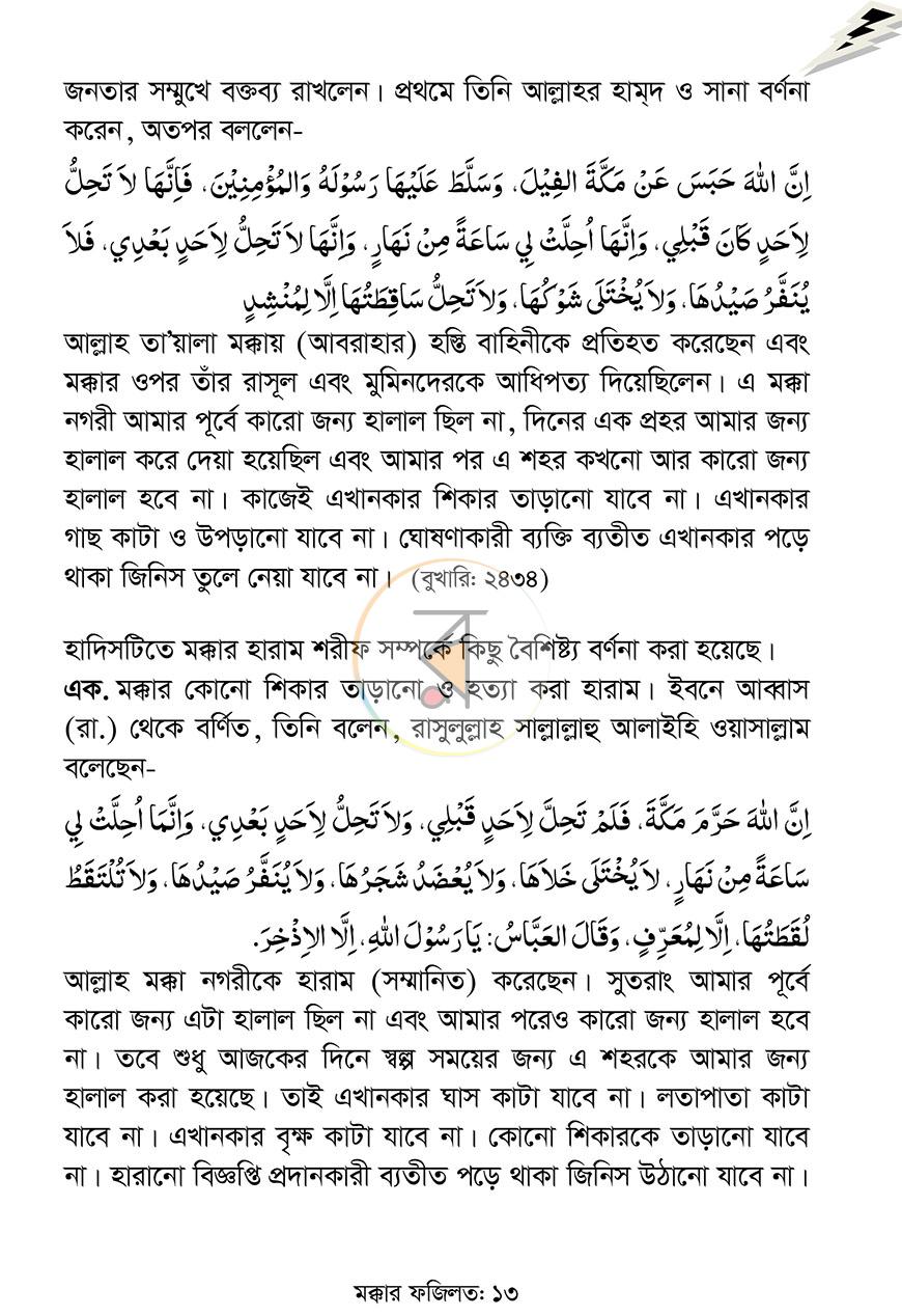 পাতা 13