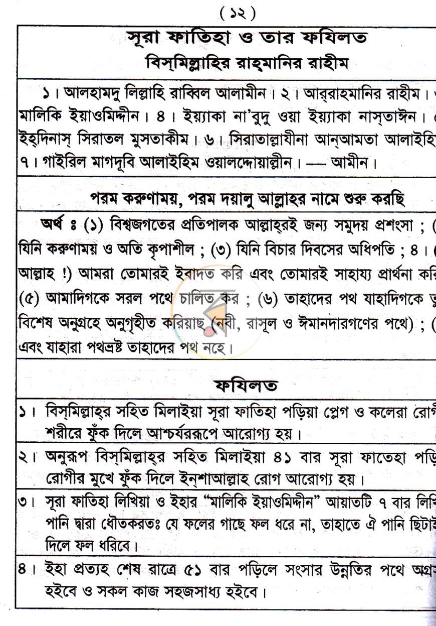 পাতা 11