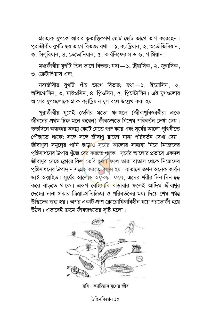 পাতা 9
