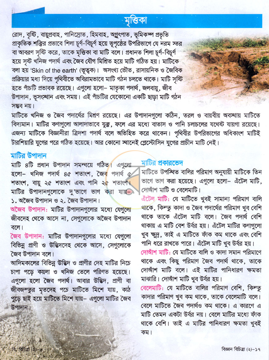 পাতা 8