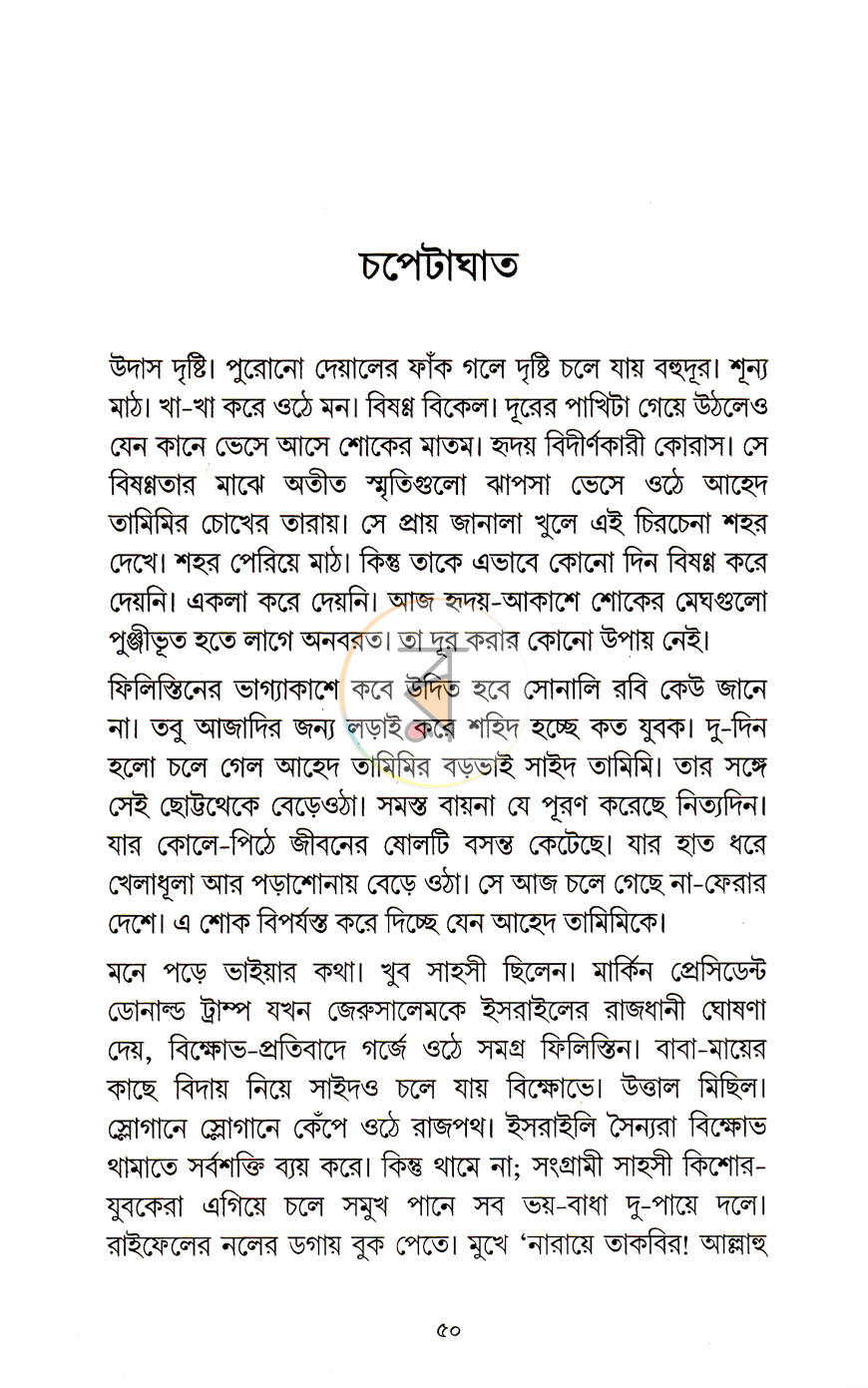 পাতা 8
