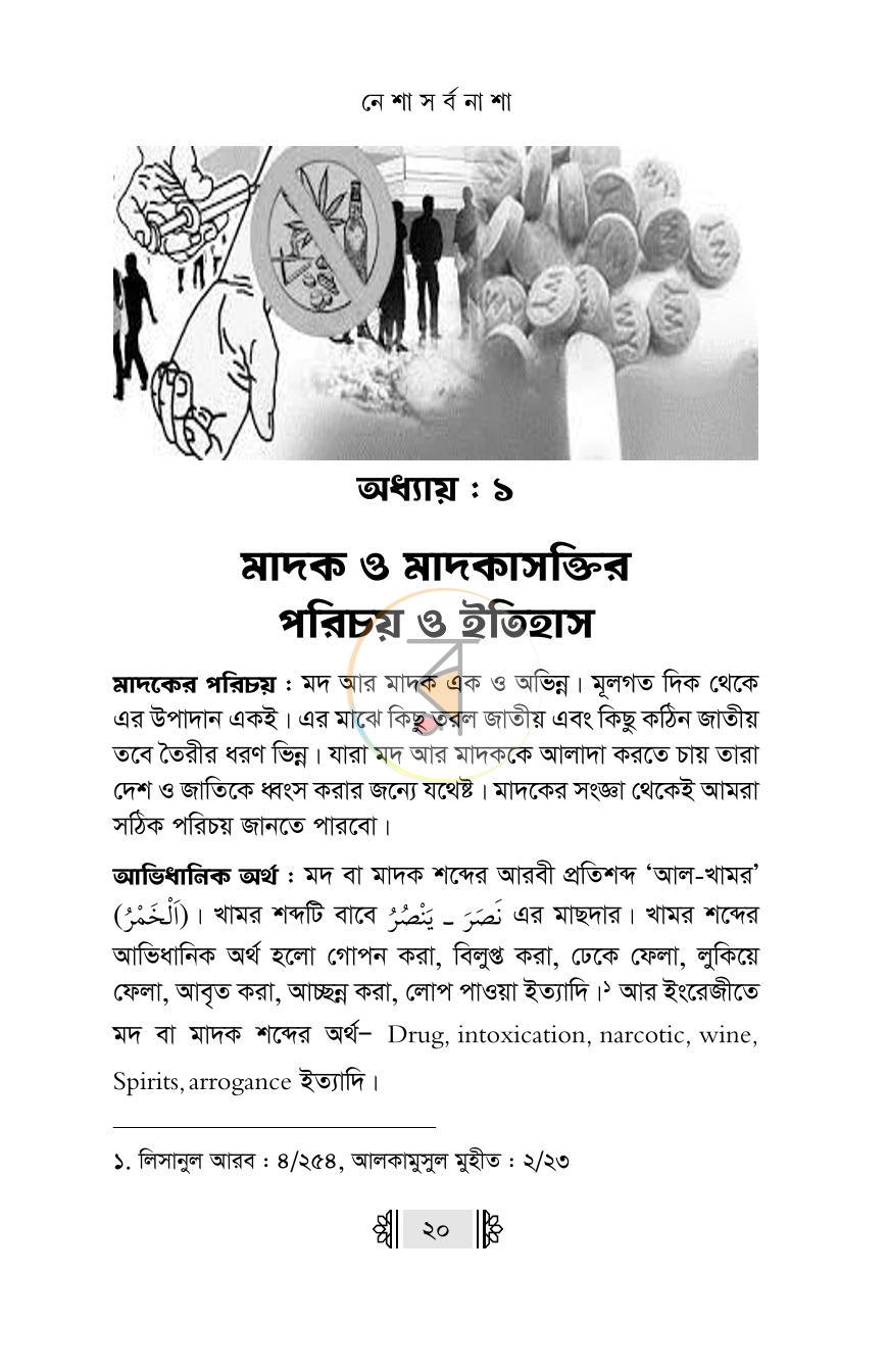 পাতা 13