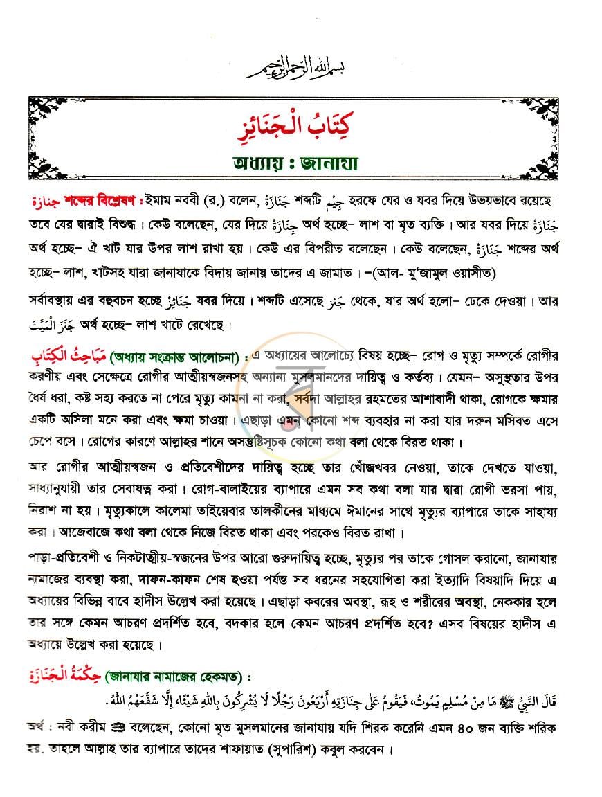 পাতা 11