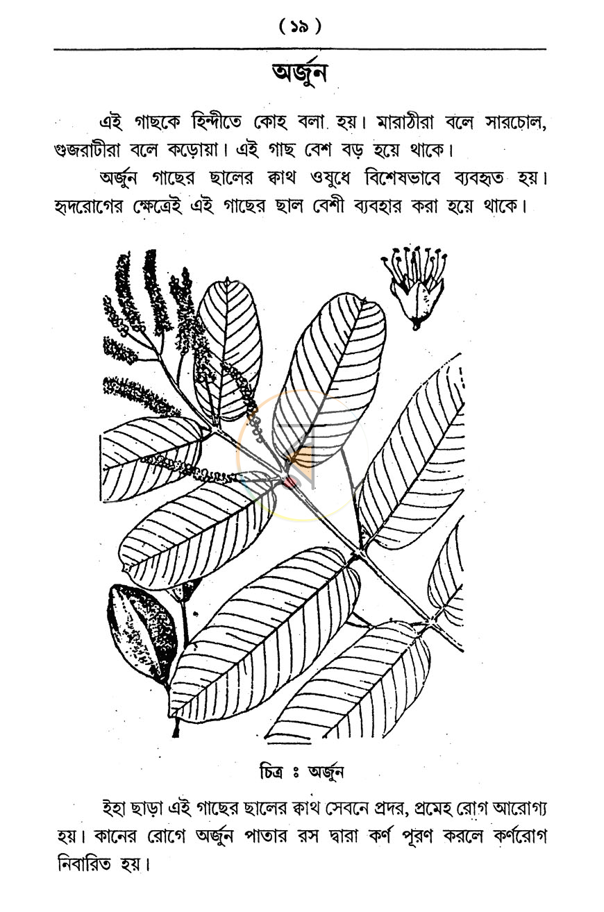 পাতা 10