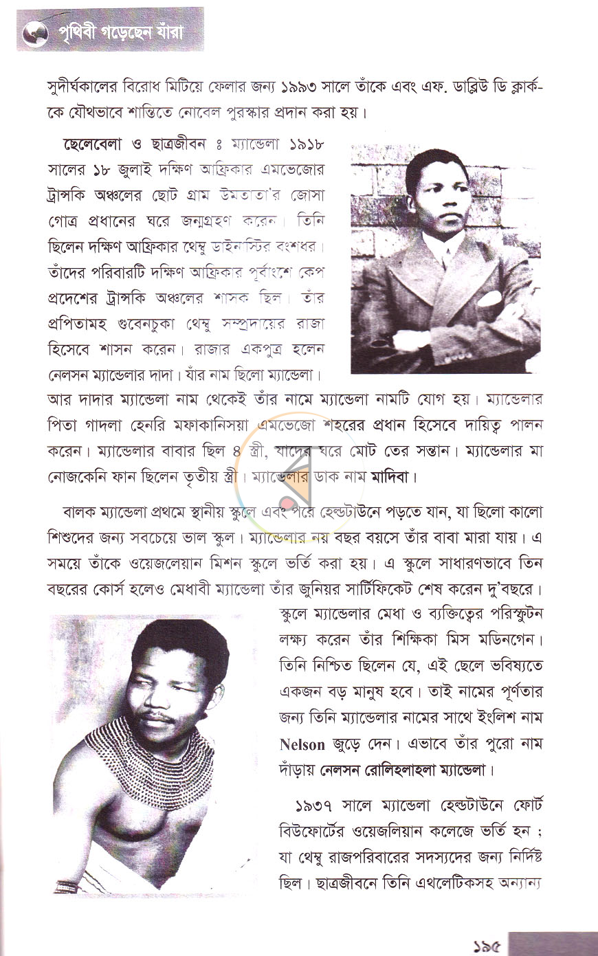 পাতা 11