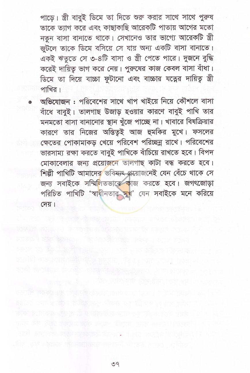 পাতা 12