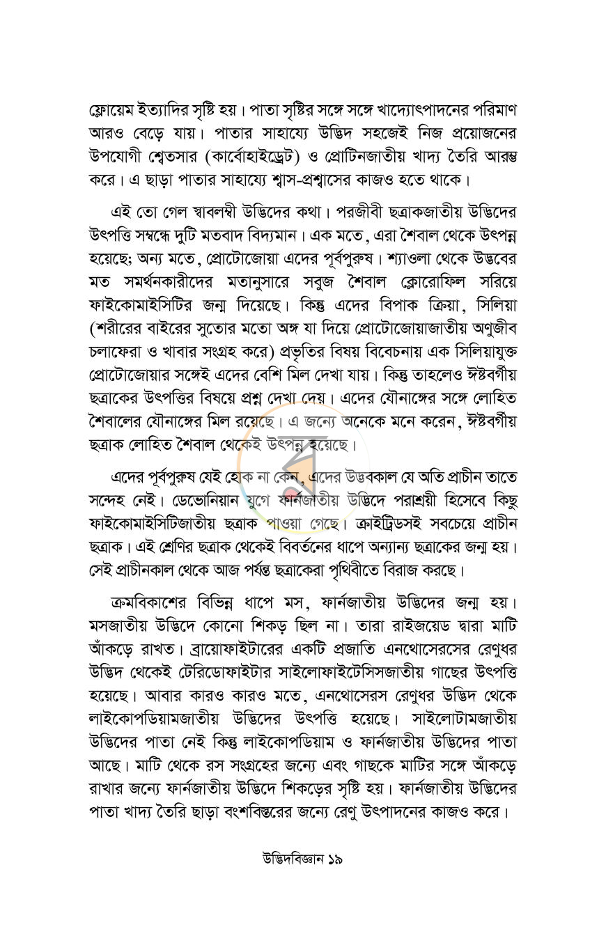 পাতা 13