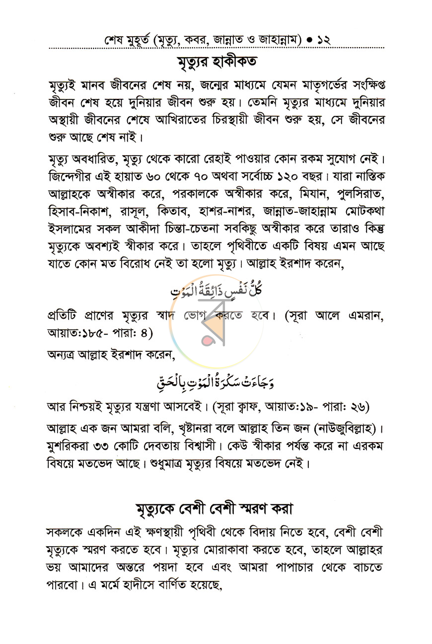 পাতা 8