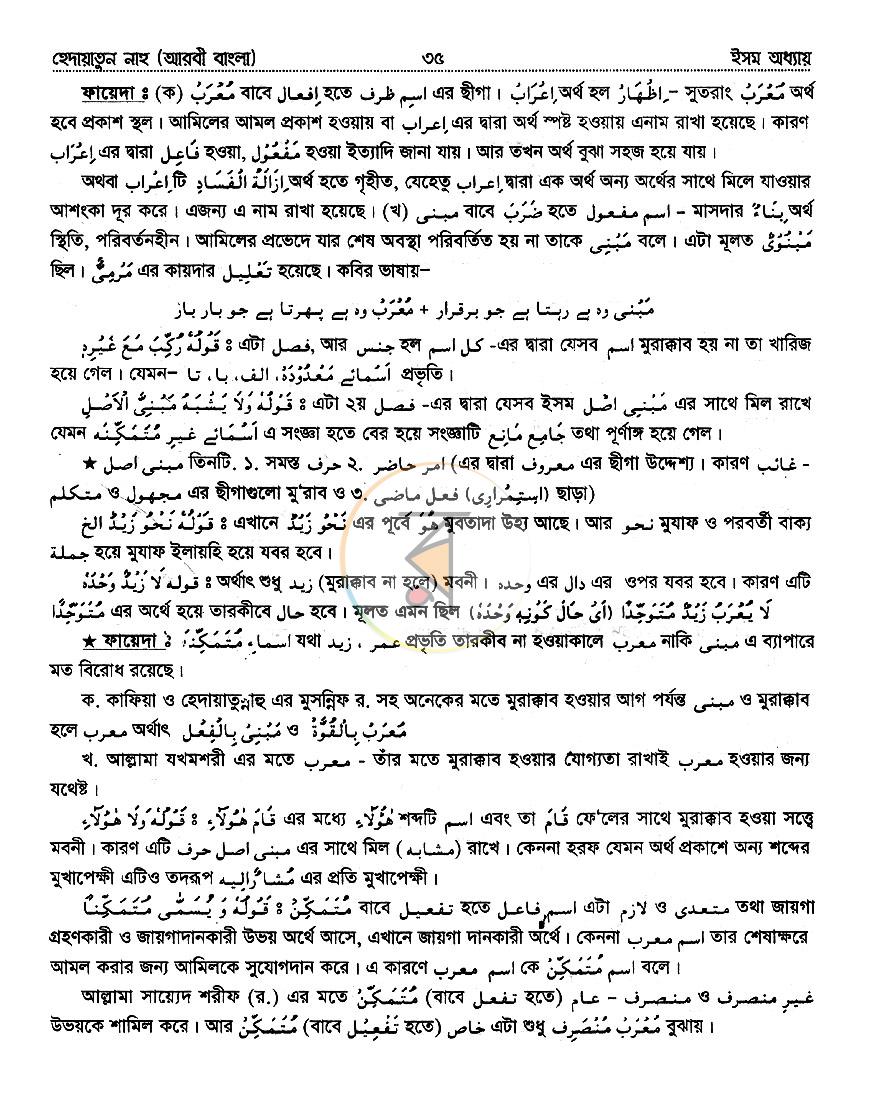 পাতা 8