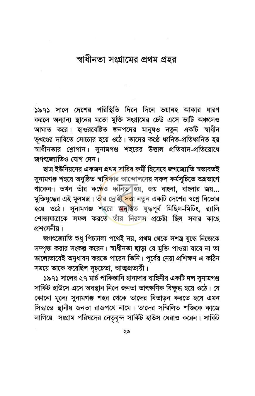 পাতা 13