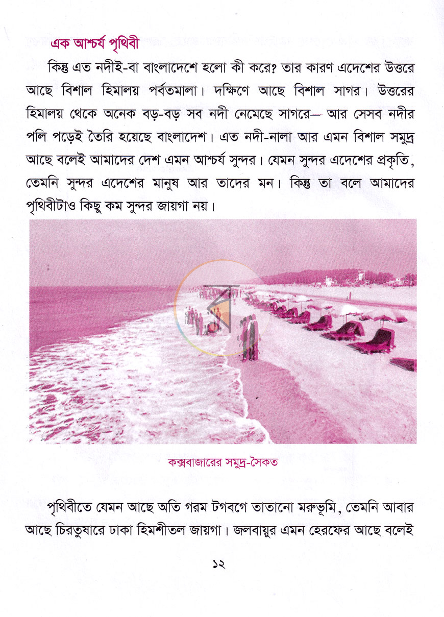 পাতা 8