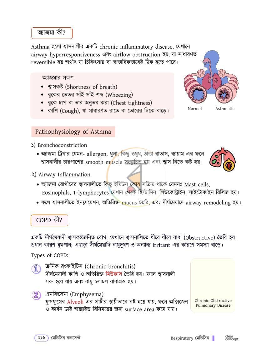 পাতা 19