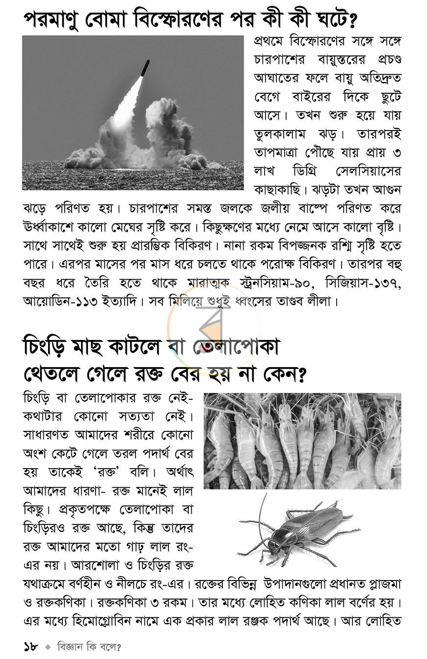 পাতা 13