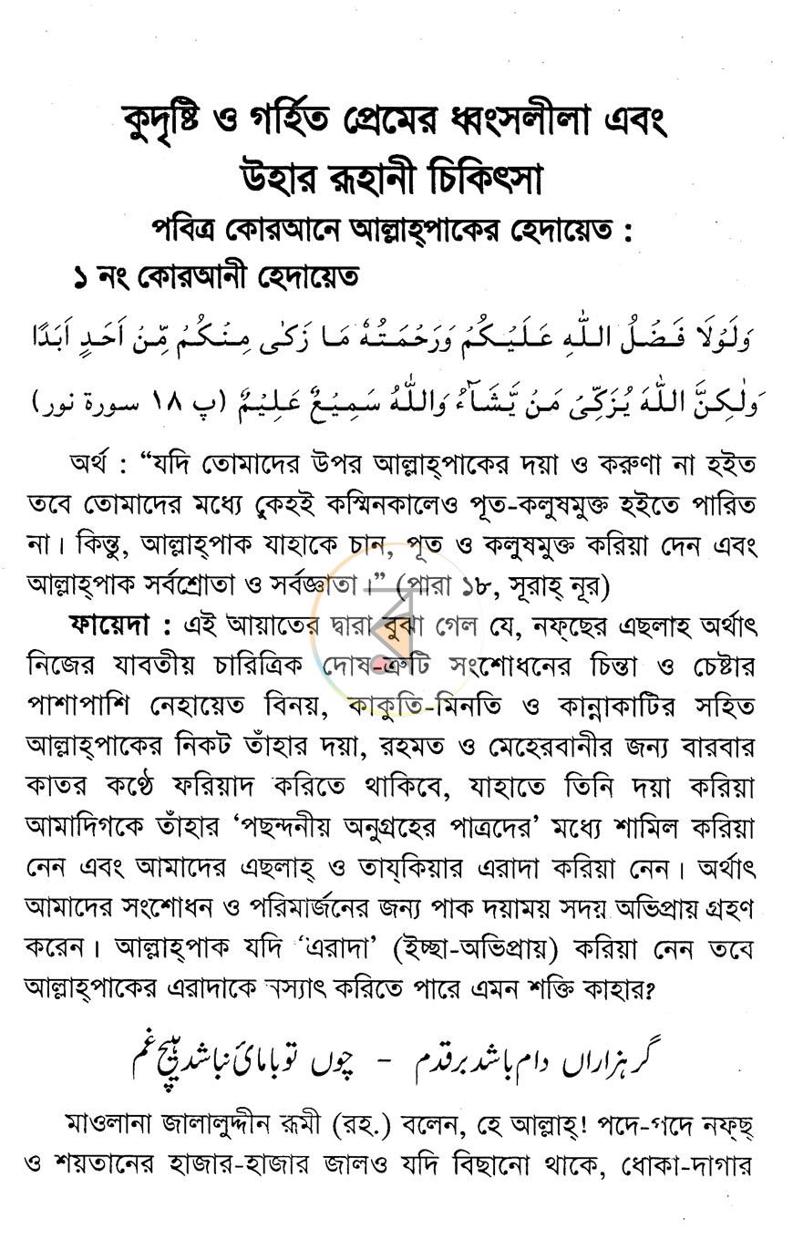 পাতা 11