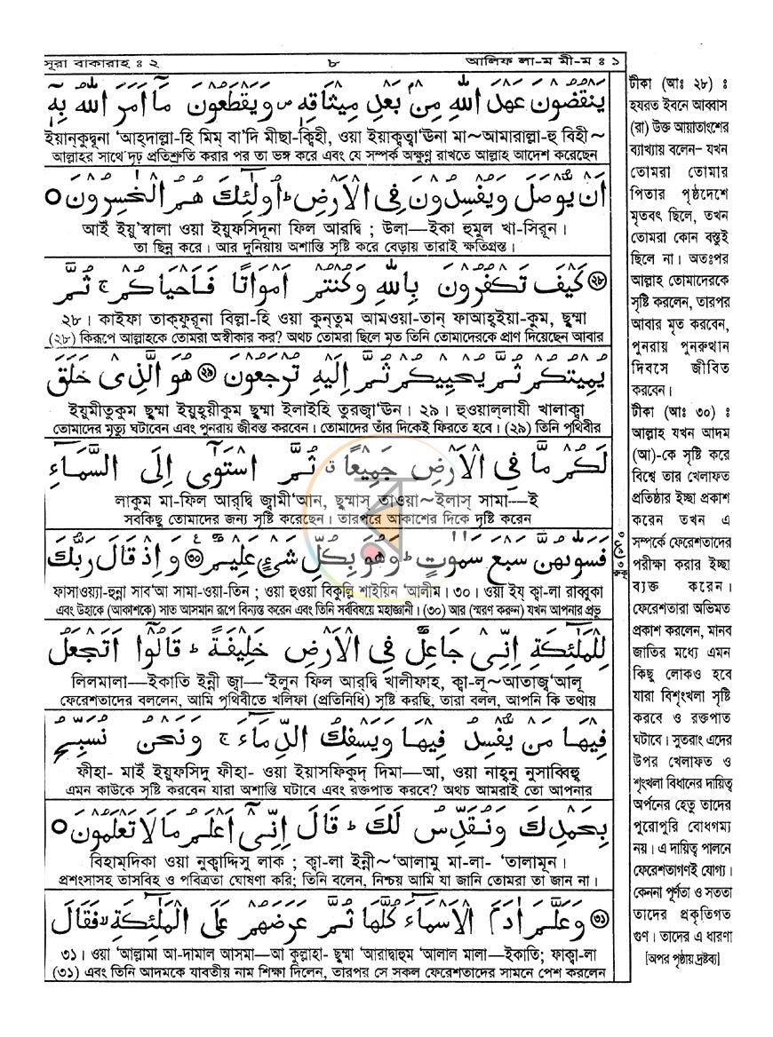 পাতা 13