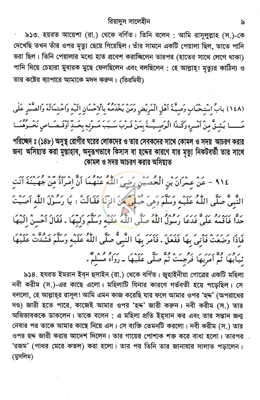 পাতা 13