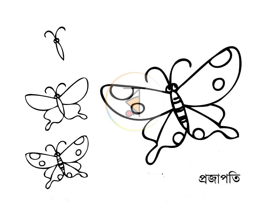 পাতা 2