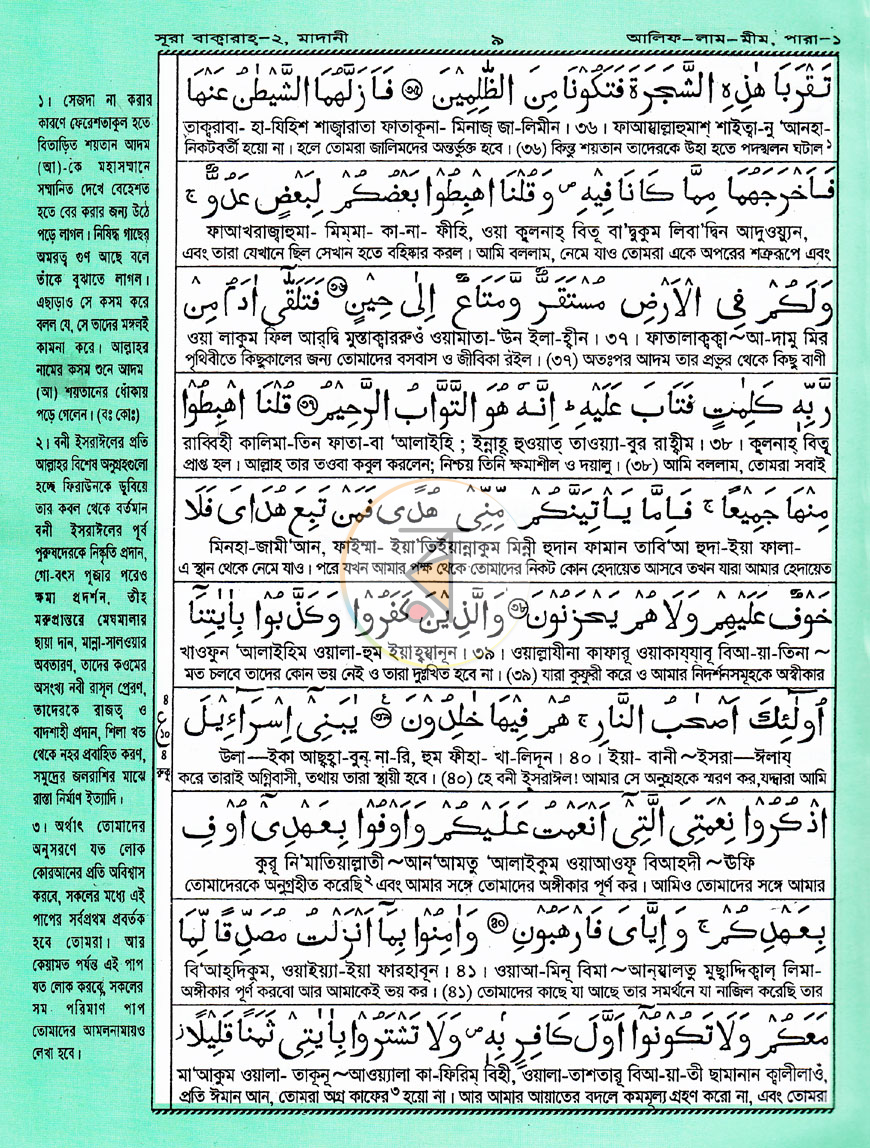 পাতা 12