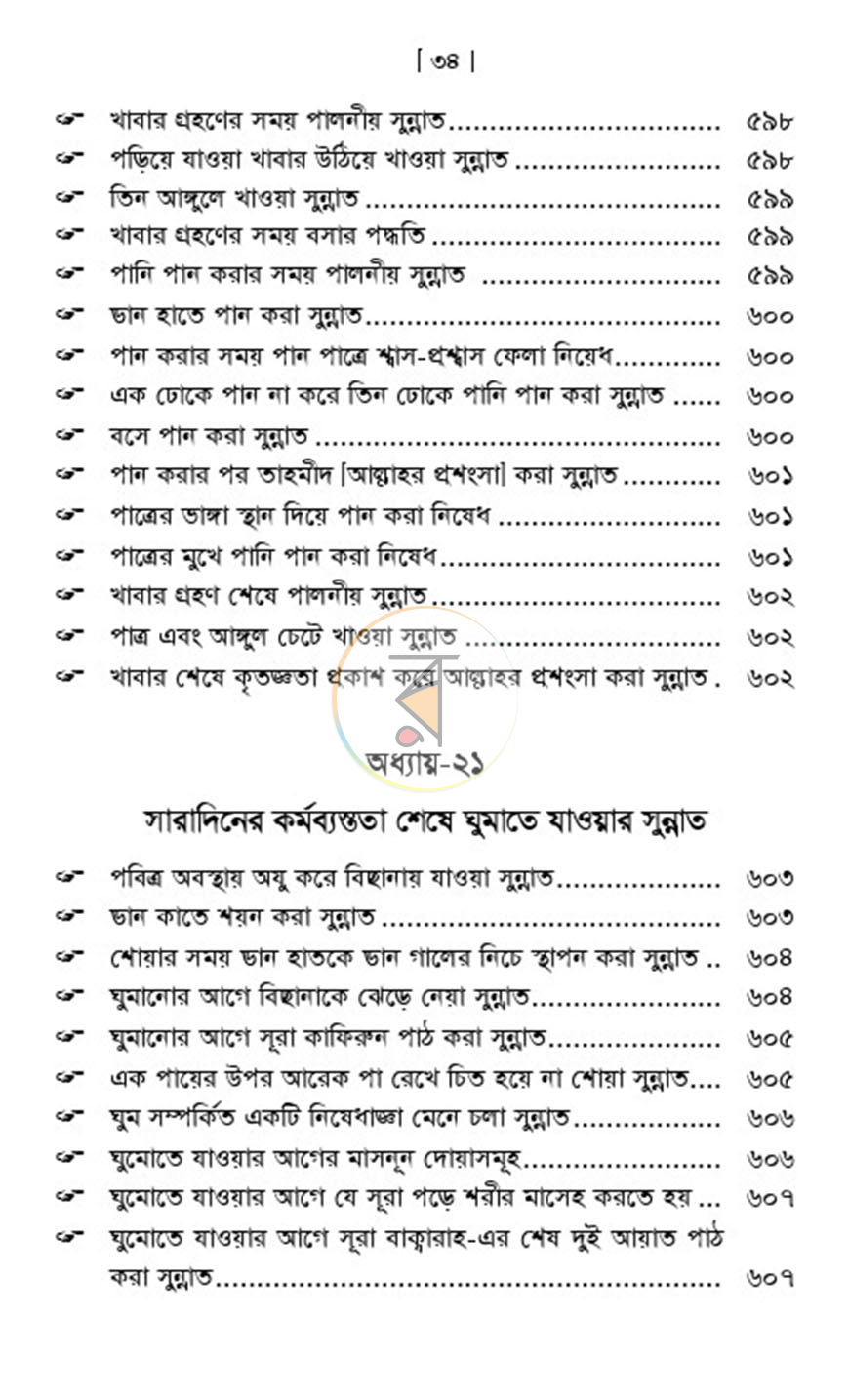 পাতা 13