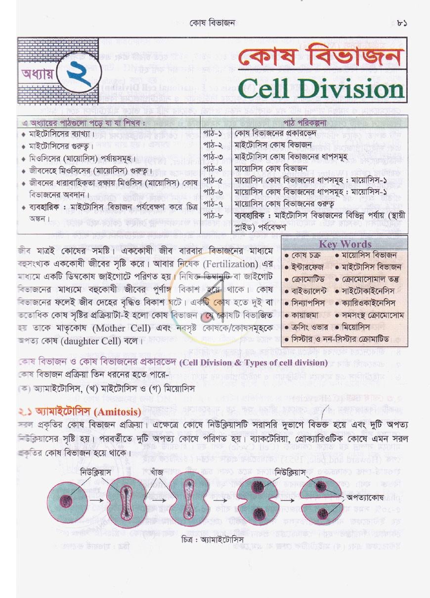 পাতা 9