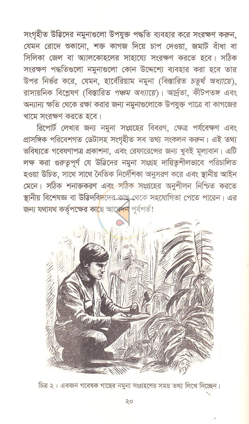 পাতা 11
