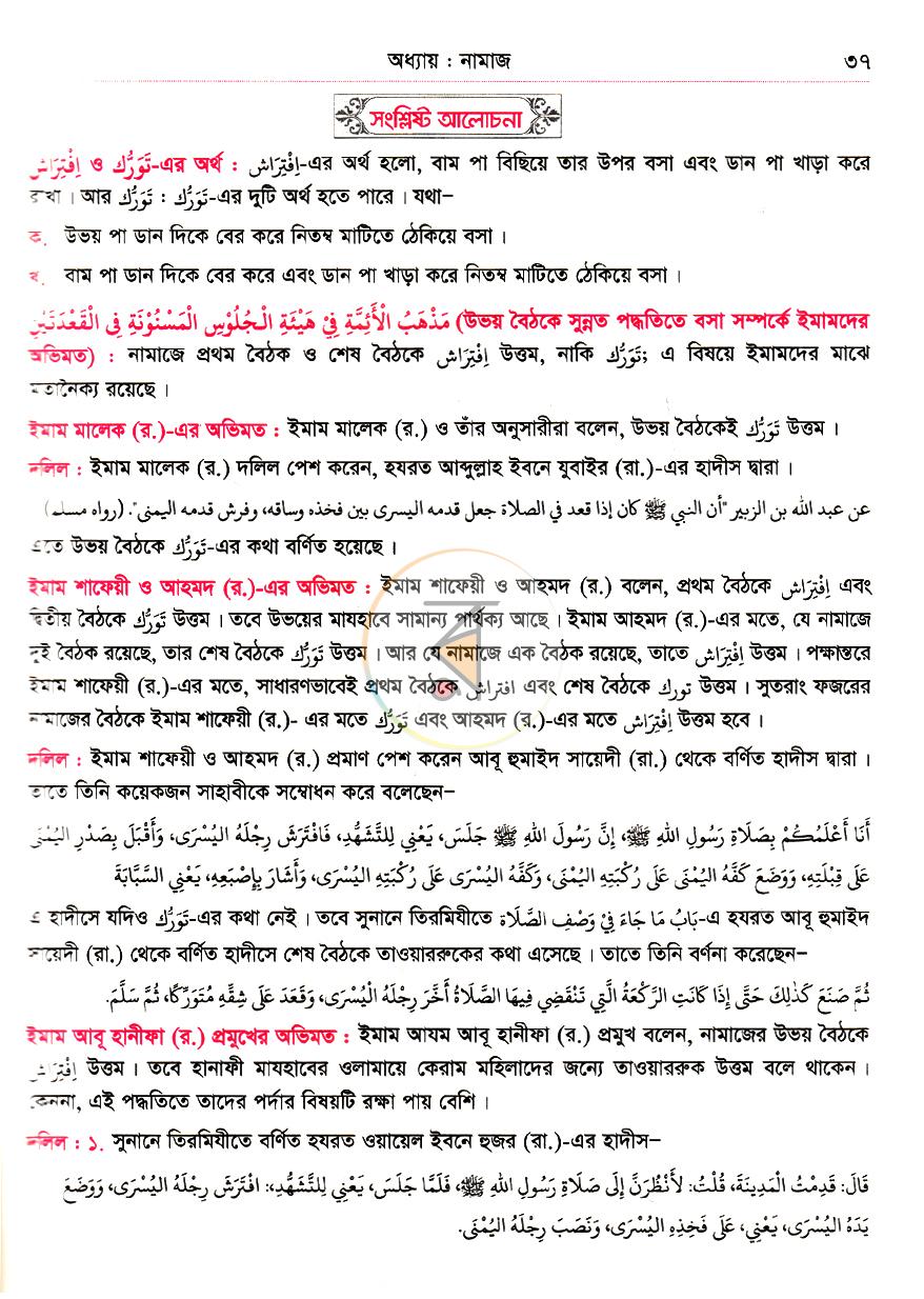 পাতা 19