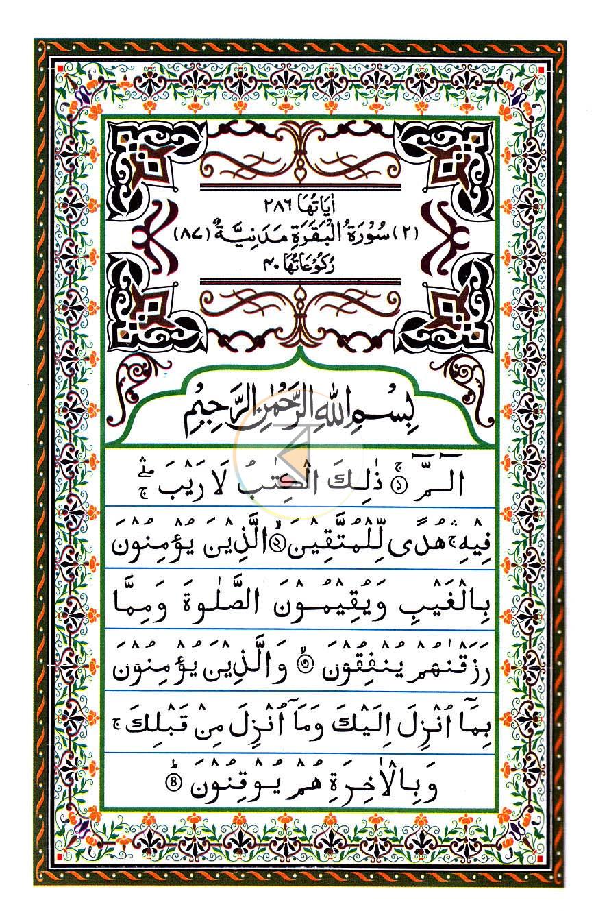 পাতা 11