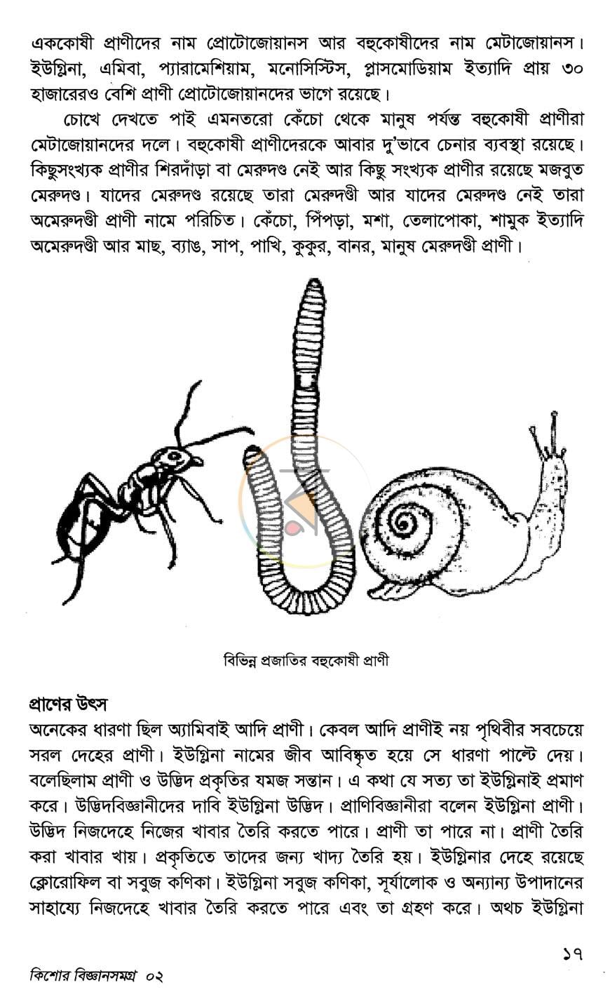 পাতা 10