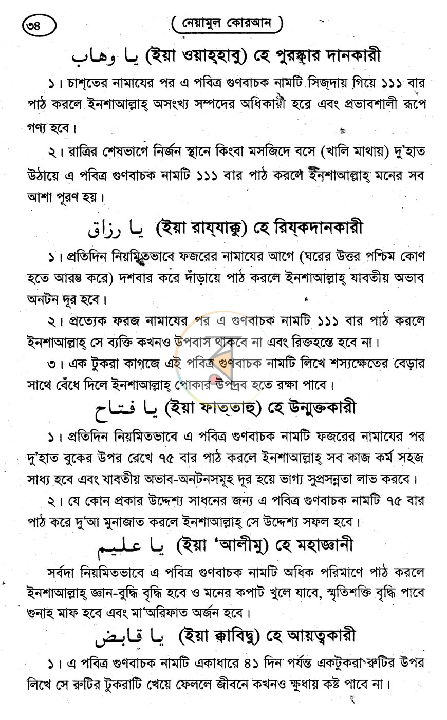 পাতা 8
