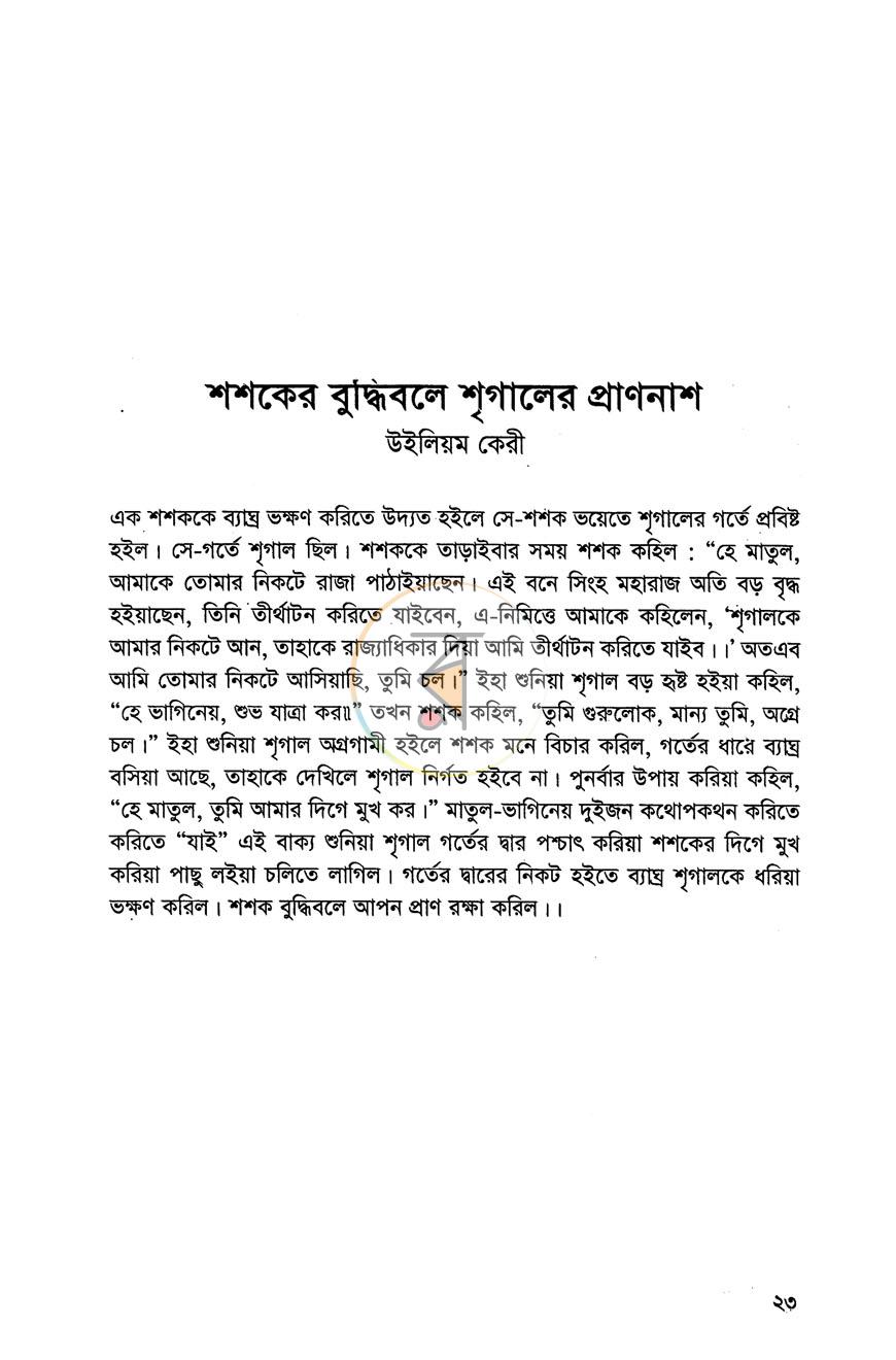 পাতা 11