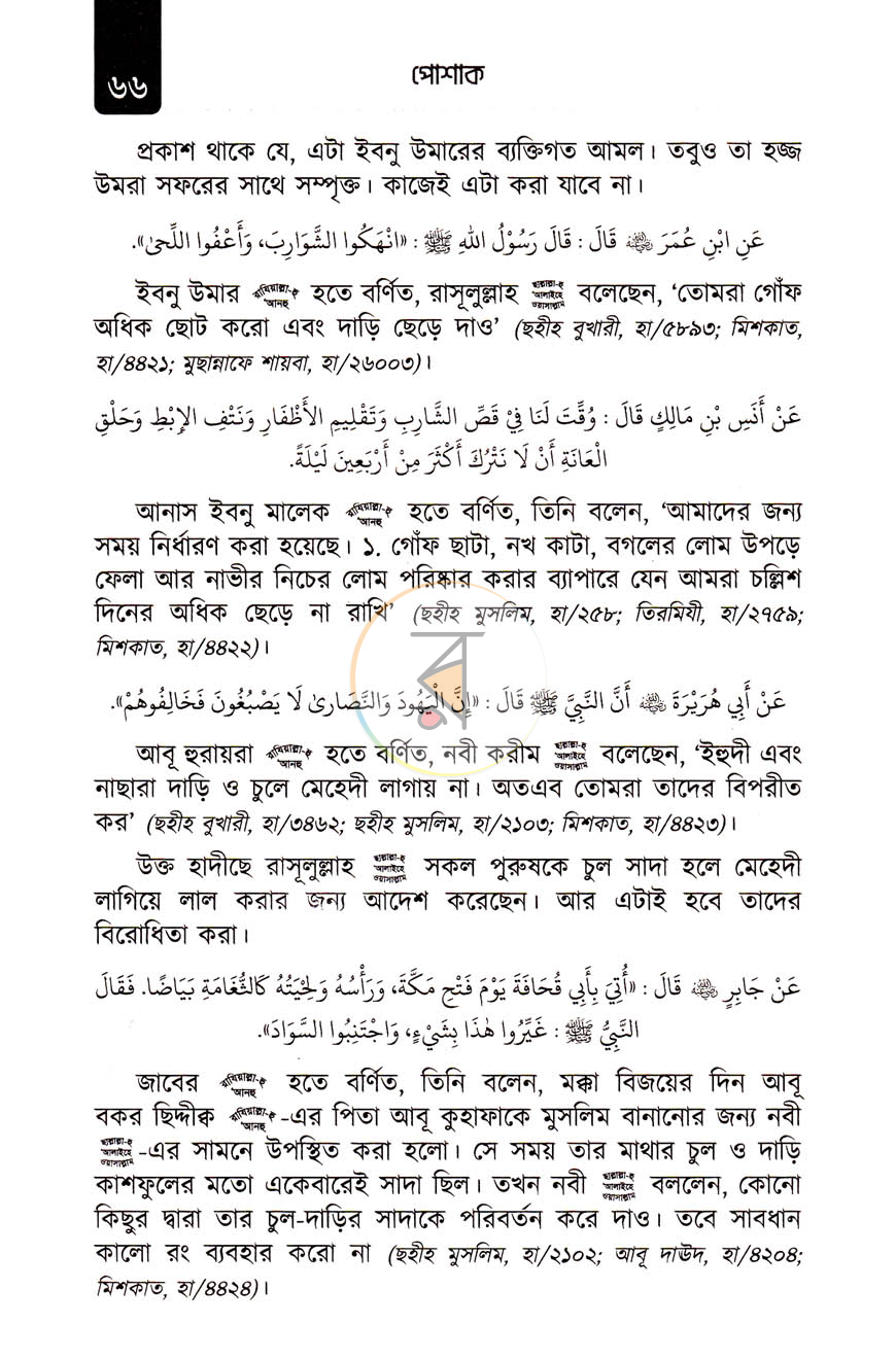 পাতা 11