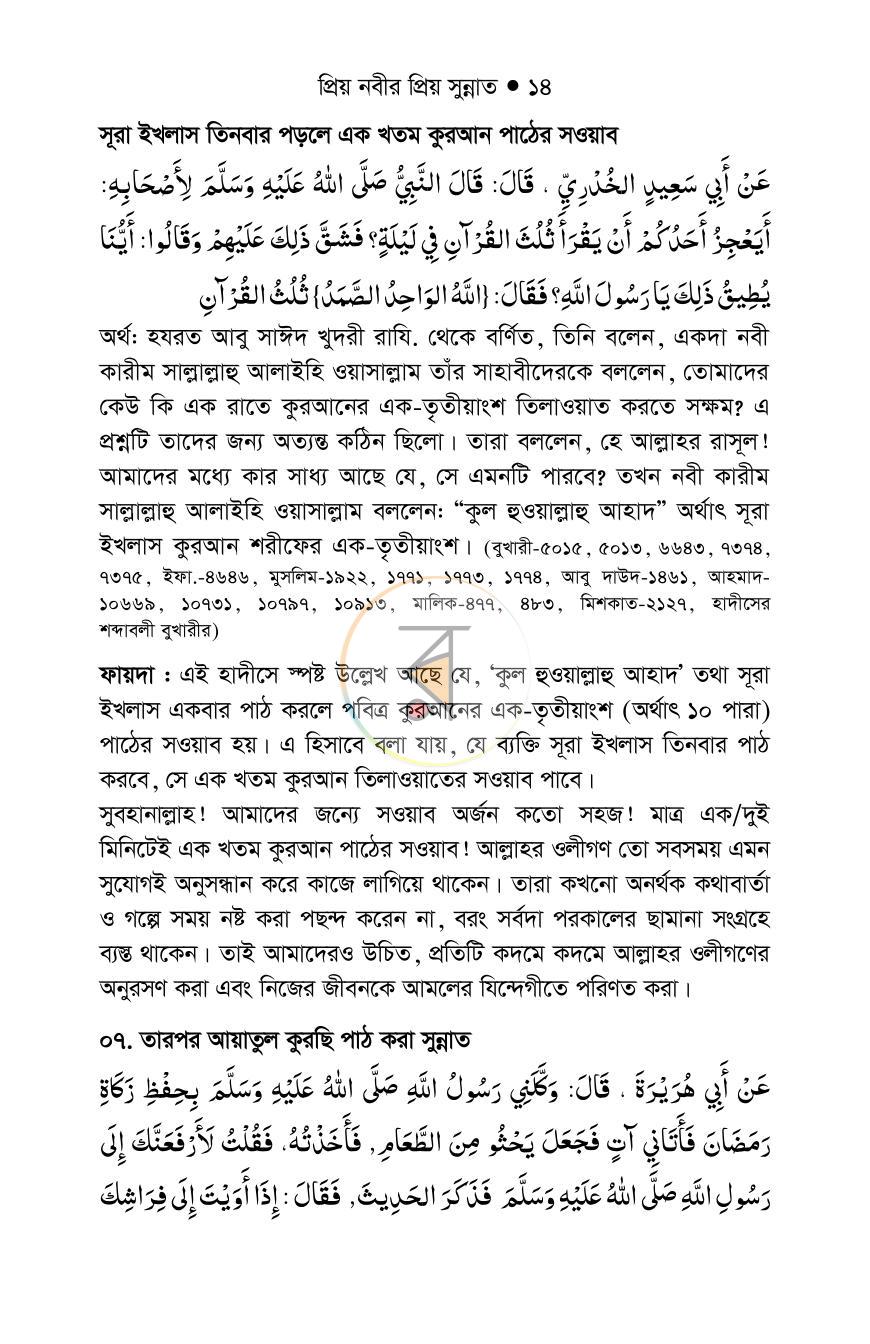 পাতা 13