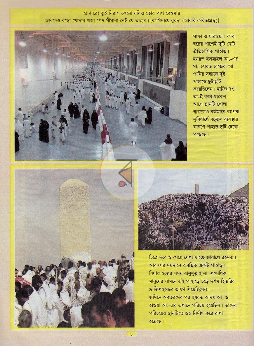 পাতা 8