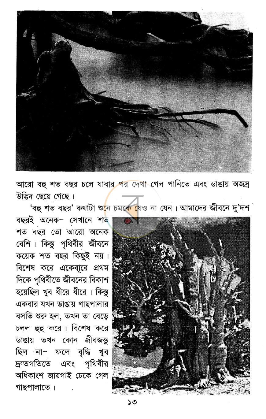 পাতা 7