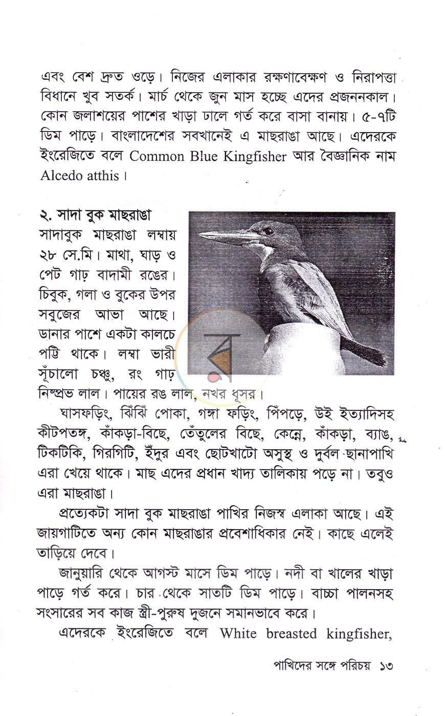 পাতা 10