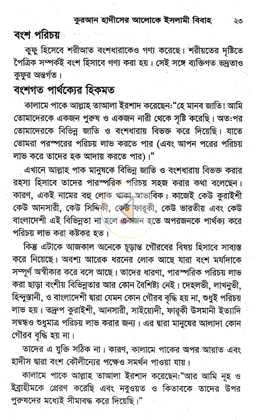পাতা 11