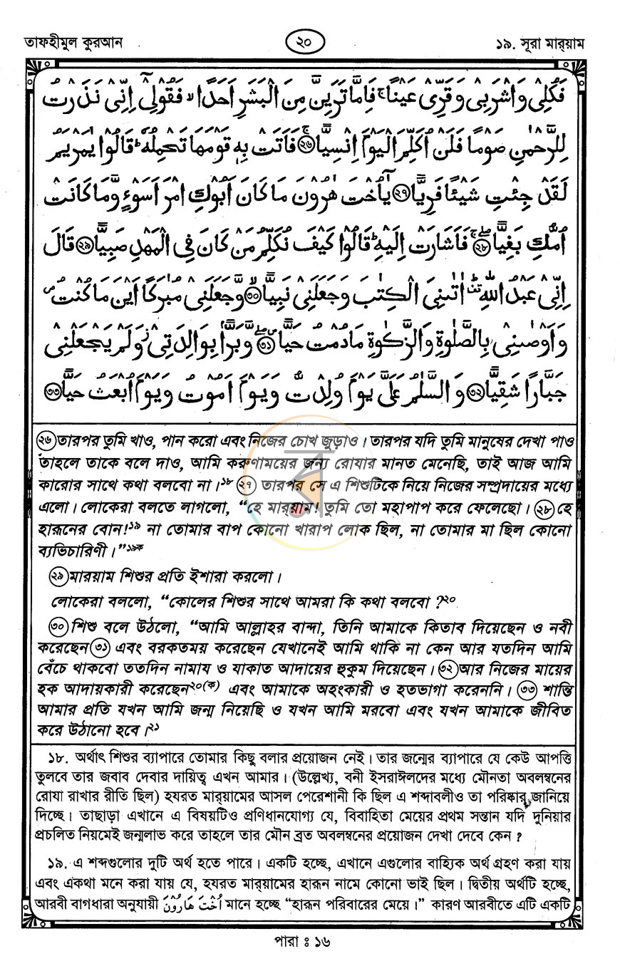 পাতা 13