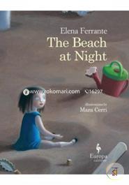 The Beach at Night  image