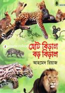 Choto Biral Boro Biral image
