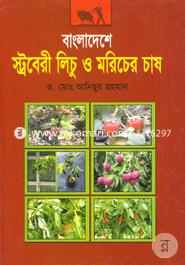 বাংলাদেশে স্ট্রবেরী লিচু ও মরিচের চাষ image