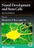 Neural Development and Stem Cells image