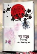 Nur Moyur image