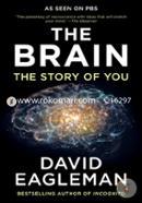 The Brain: The Story of You image