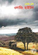 Wuthering Heights image