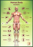 3D Book Magic World Human Body image