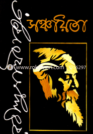 Sonchoyita image