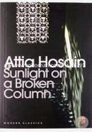 Sunlight on a Broken Column image