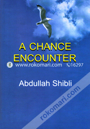 A Chance Encounter image